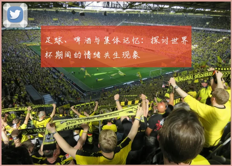 足球、啤酒与集体记忆:探讨世界杯期间的情绪共生现象