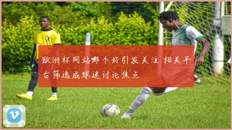 欧洲杯网站哪个好引发关注 相关平台筛选成球迷讨论焦点