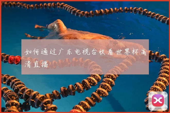 如何通过广东电视台收看世界杯高清直播