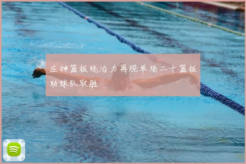 庄神篮板统治力再现单场二十篮板助球队取胜