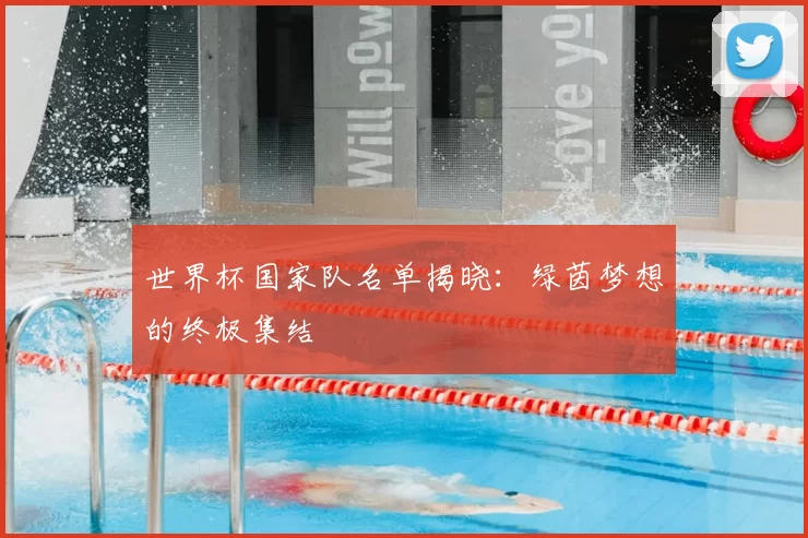 世界杯国家队名单揭晓:绿茵梦想的终极集结