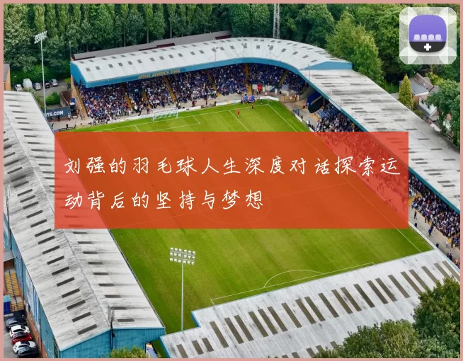 刘强的羽毛球人生深度对话探索运动背后的坚持与梦想