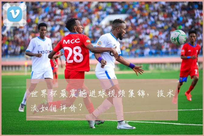 世界杯最震撼进球视频集锦，技术流如何评价？